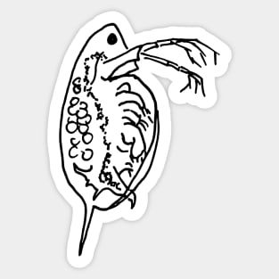 Daphnia Line Art Sticker